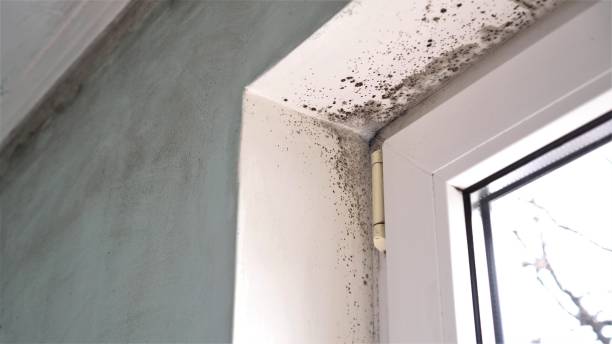 Water Damage Restoration in Lexington, TN