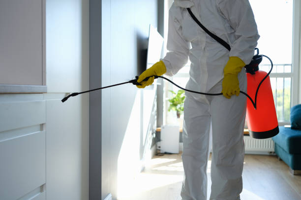 Best Affordable Mold Removal  in Lexington, TN